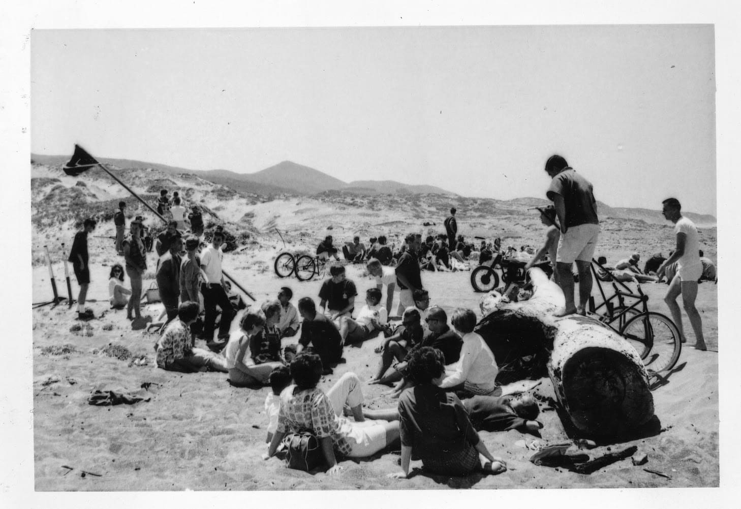 A group of people sitting on the beach