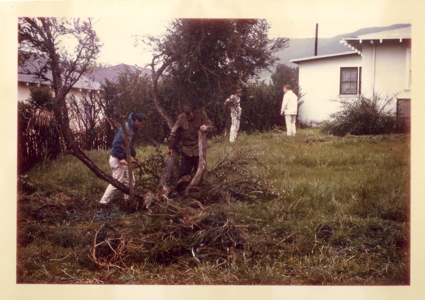 A group of people standing around a tree.