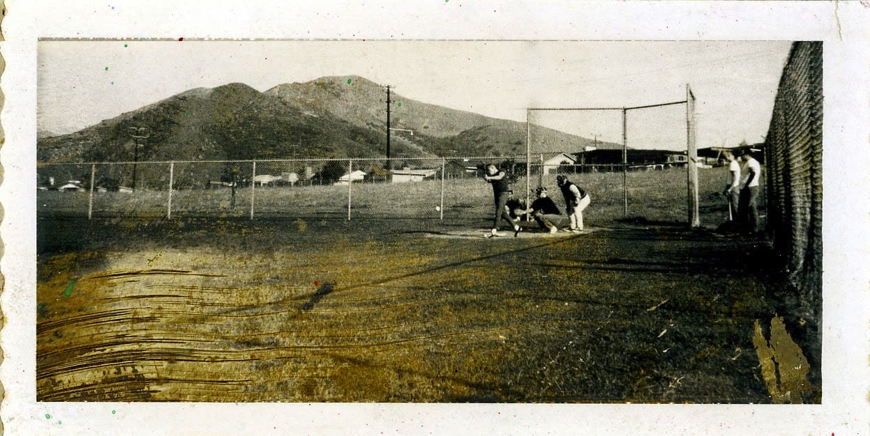 A black and white photo of some animals in the grass.